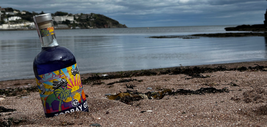 Torbay Airshow Gin on Torre Abbey beach