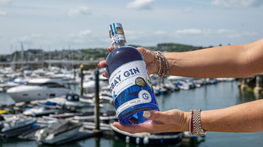 Why Devon is the Perfect Place for Craft Gin Lovers