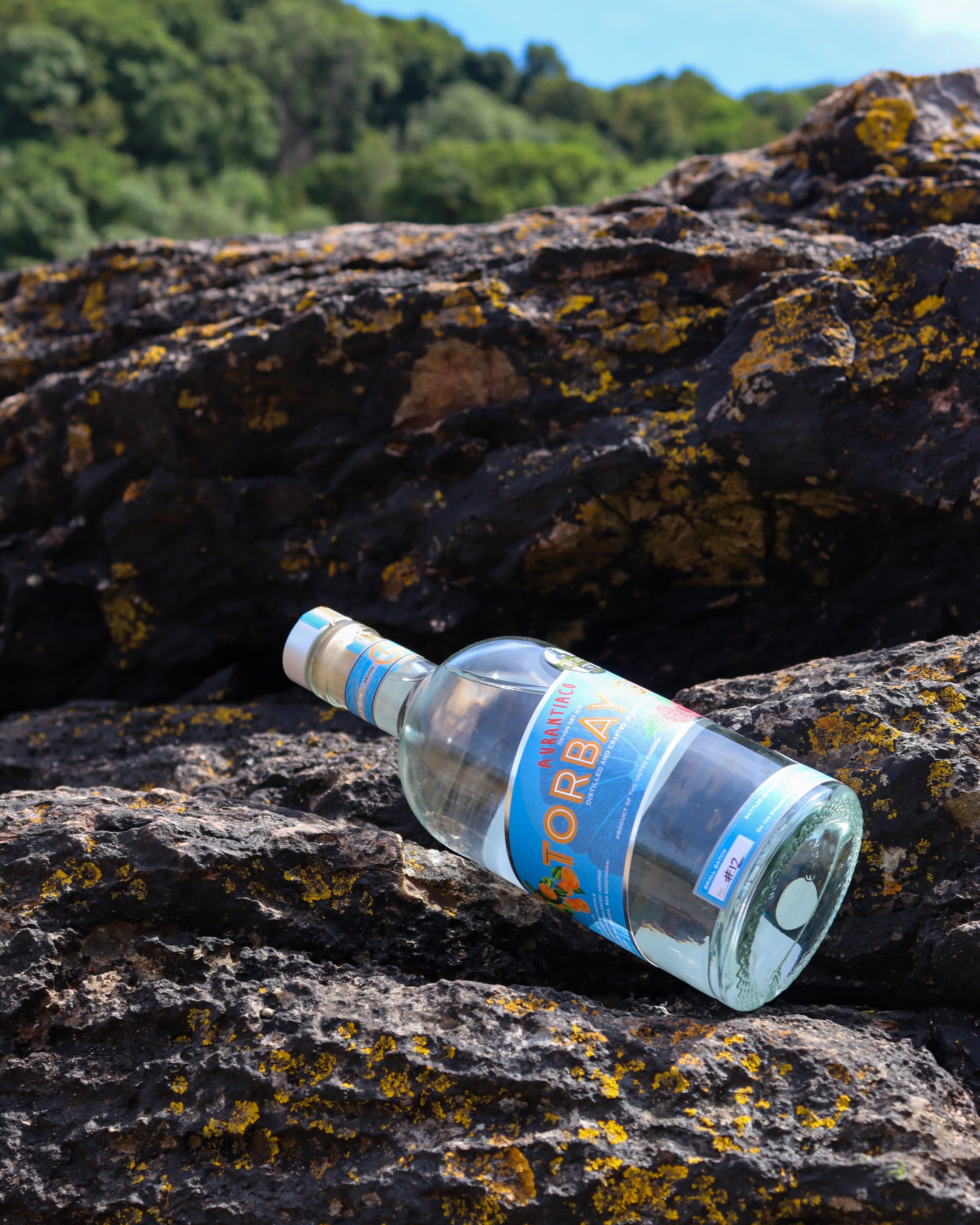 Aurantiaco Gin at Elberry Cove Portrait