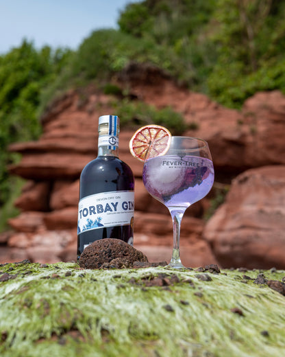 Bottle of Torbay Gin with gin glass showing colour changing gin