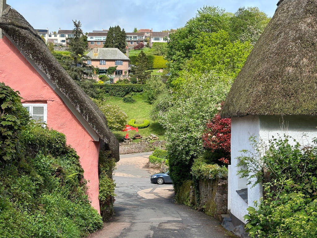 houses in cockington village looking at centre of cockington