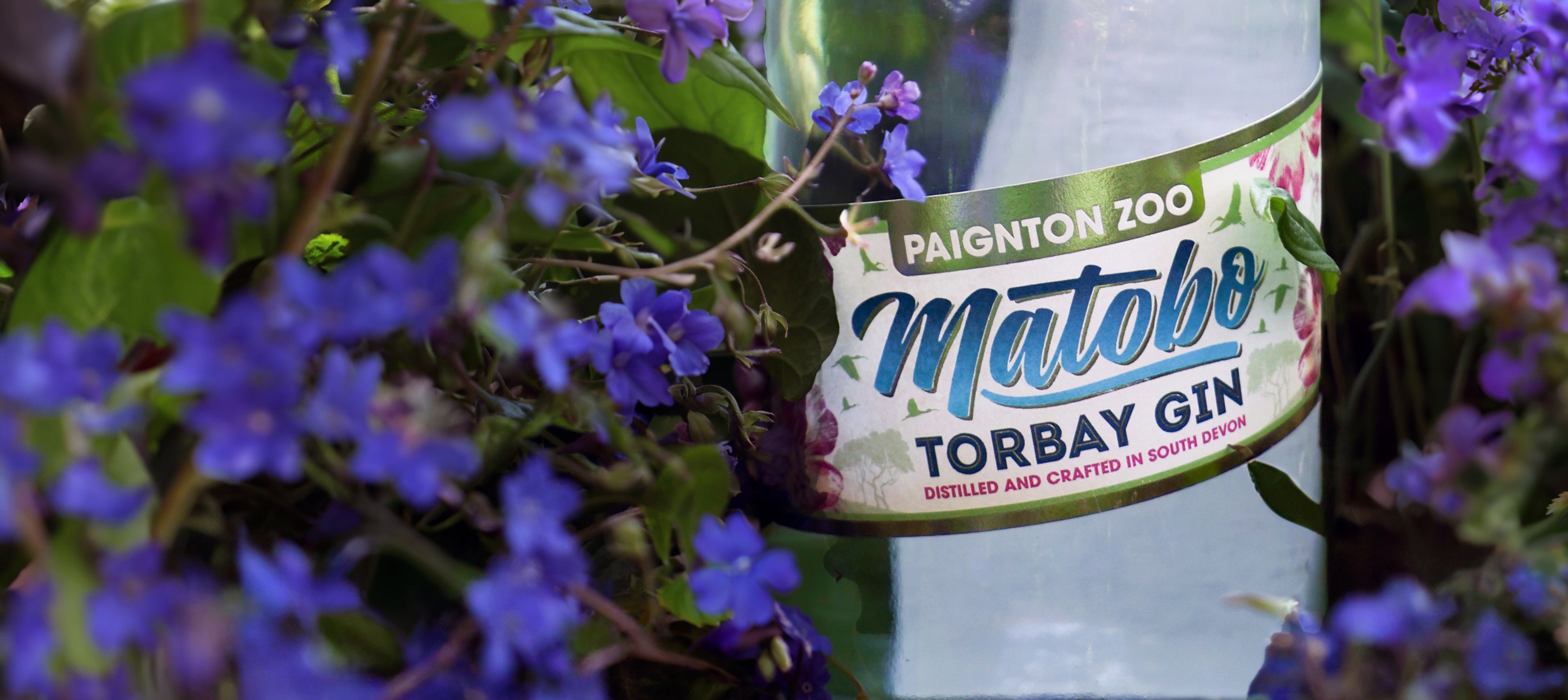 matobo gin our collaboration with the wild planet trust at paignton zoo