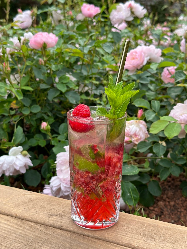 Raspberry Gin Mojito In Rose Garden