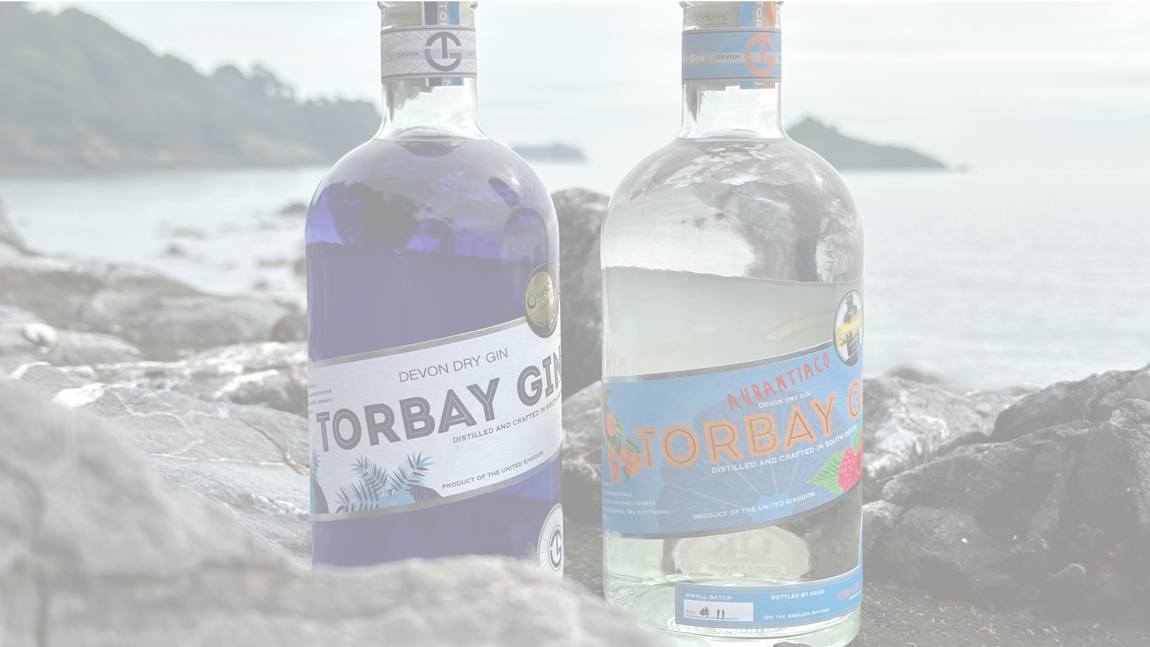 Torbay Gin and Aurantiaco at Meadfoot faded