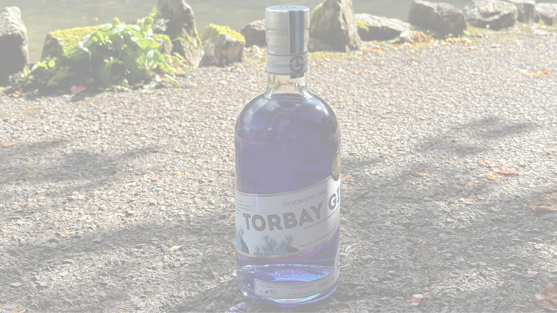 Torbay Gin Cockington lakes faded