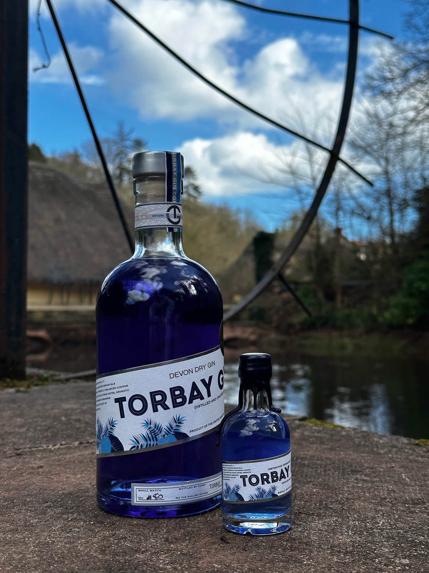 Torbay Gin and Mini in Cockington