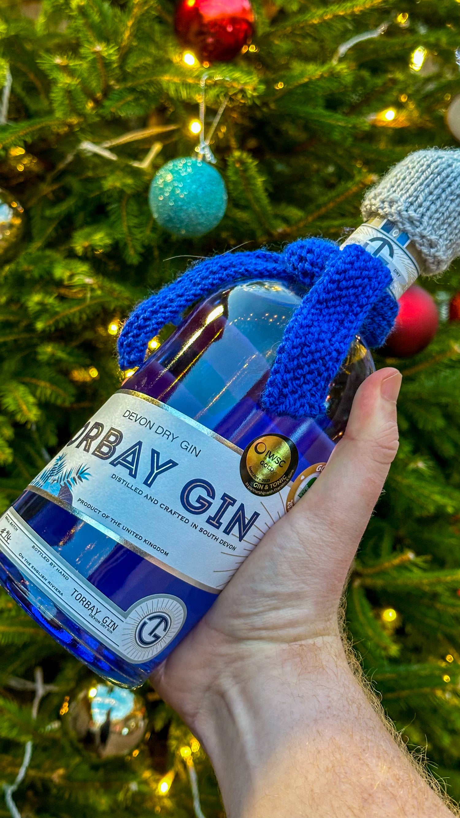 Torbay Gin bottle in Christmas hat